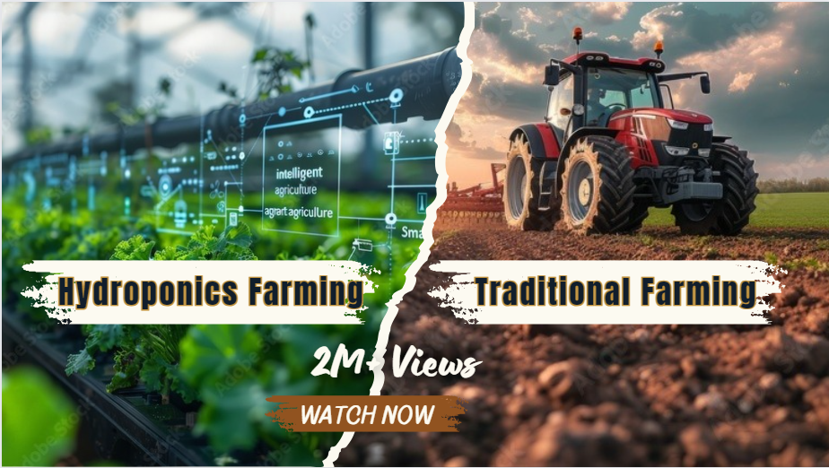 Hydroponics vs Traditional Farming: Navigating the Future of Agriculture