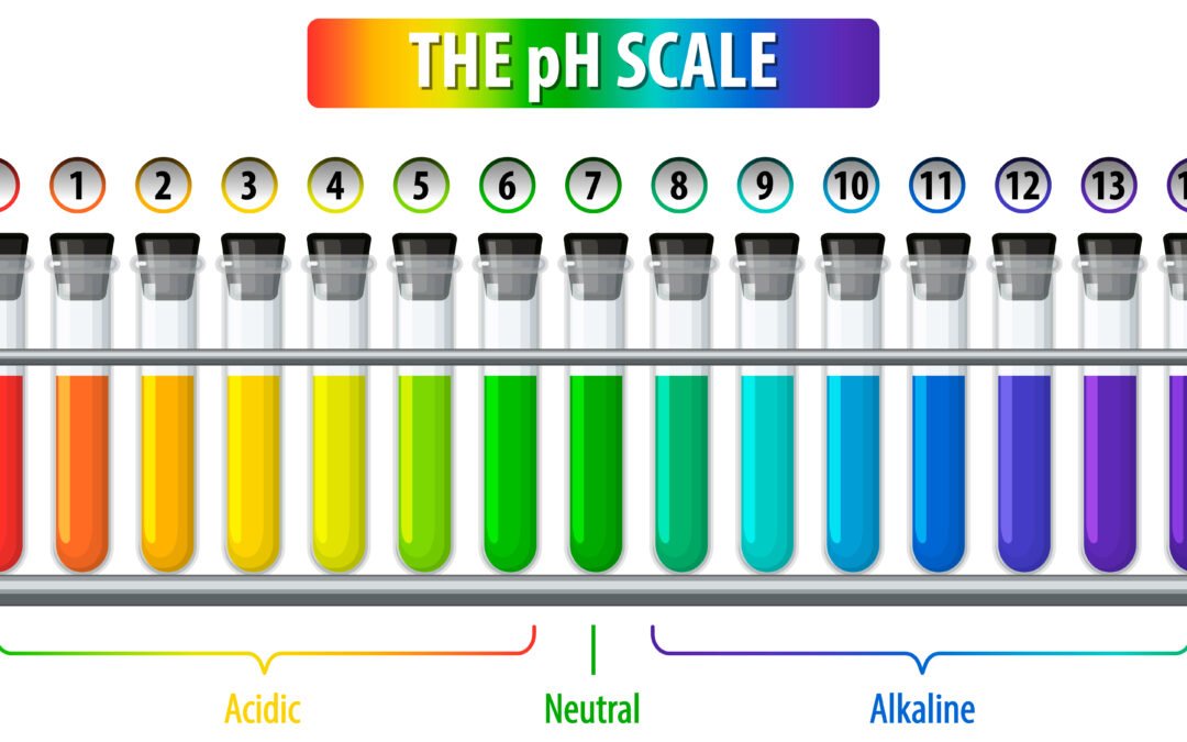 How to Maintain PH in Hydroponics/Soilless System: Hydroponics farming