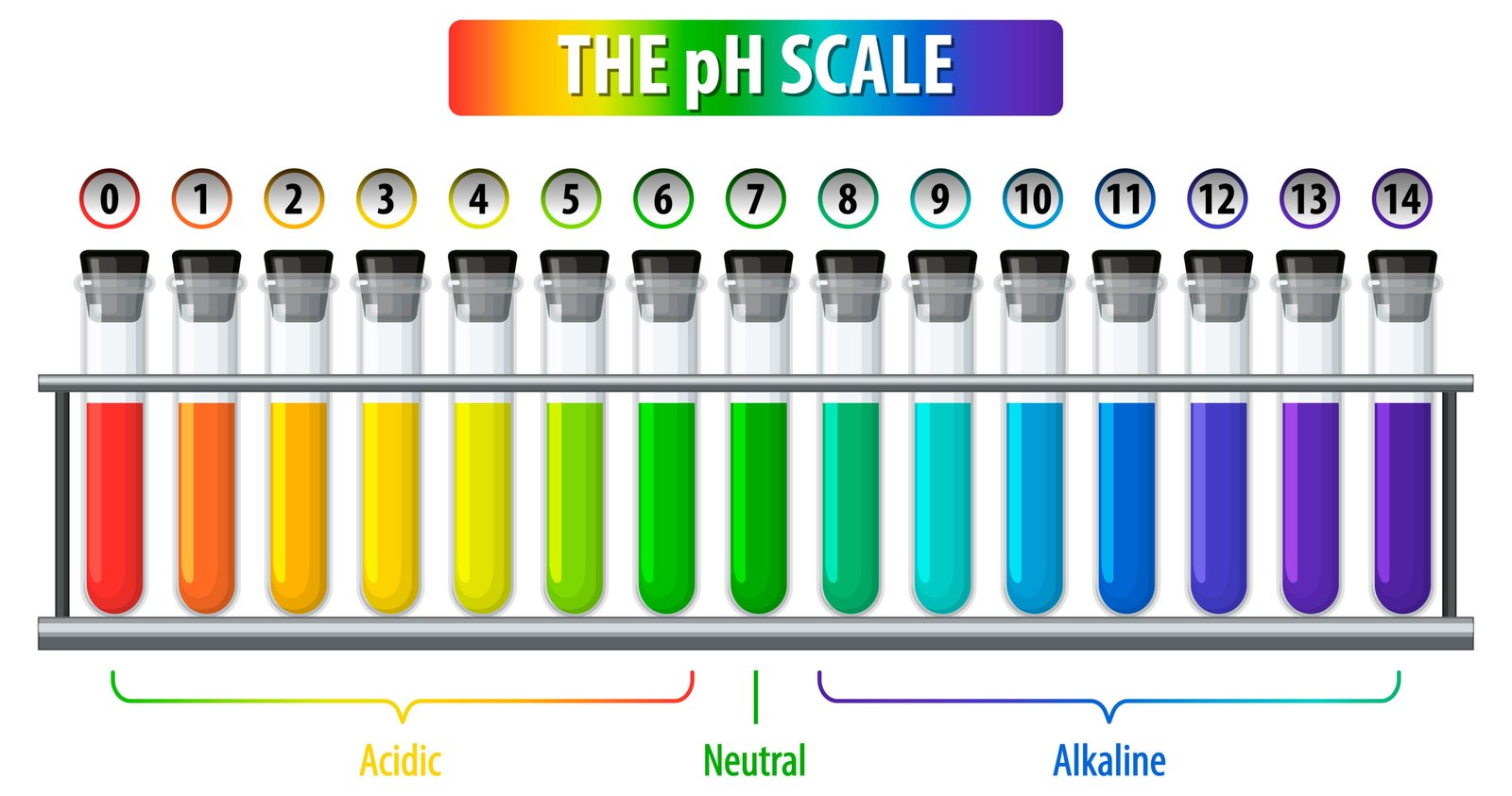 PH meter