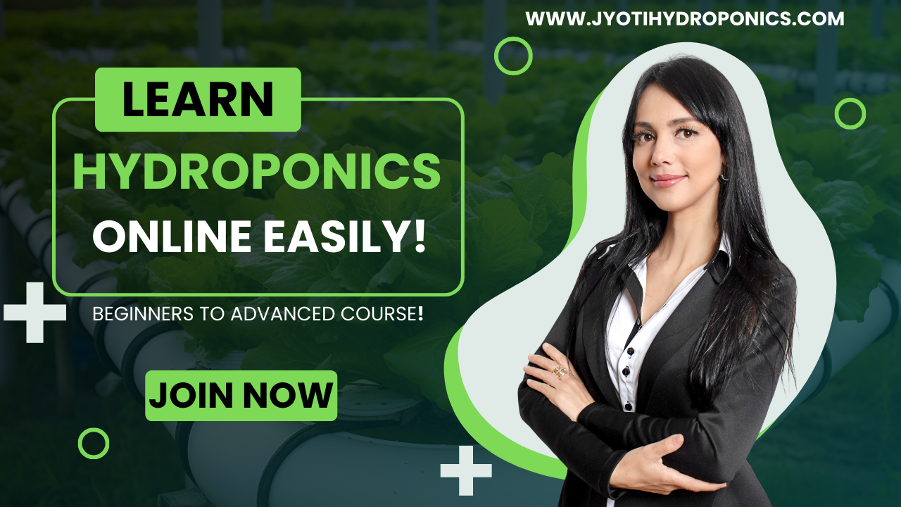 hydroponics courses