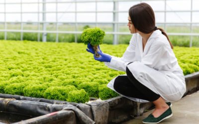 Nutrient cost cutting and Boost quality Growth in hydroponics farming
